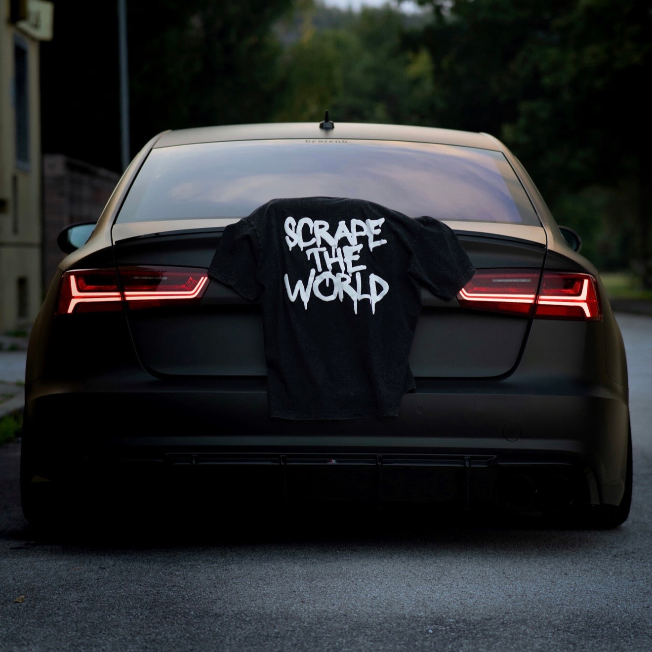 𝖉𝖊𝖘𝖈𝖊𝖓𝖉 | tričko drhni svět